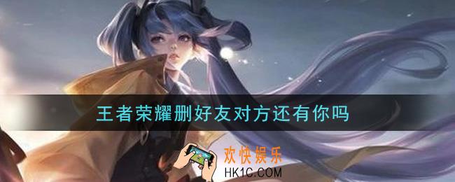 王者荣耀删好友对方还有你吗_删了好友对方是否还有你