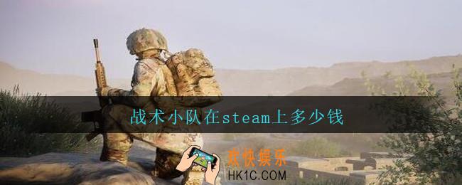 战术小队在steam上多少钱_战术小队在steam上价格
