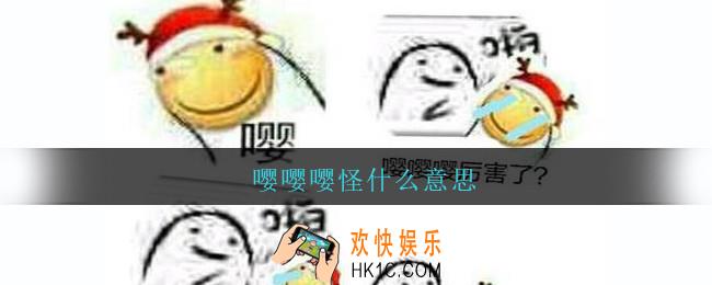 嘤嘤嘤怪什么意思_嘤嘤怪语录