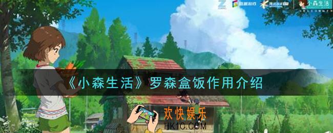 小森生活罗森盒饭有什么用_罗森盒饭作用介绍