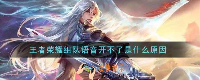 王者荣耀组队语音开不了是什么原因_组队语音打开方法介绍