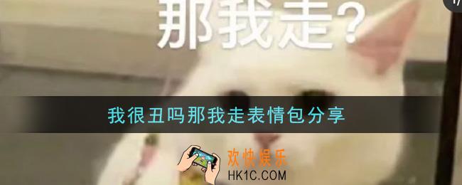 我很丑吗那我走表情包分享_我很丑吗那我走表情包图片大全