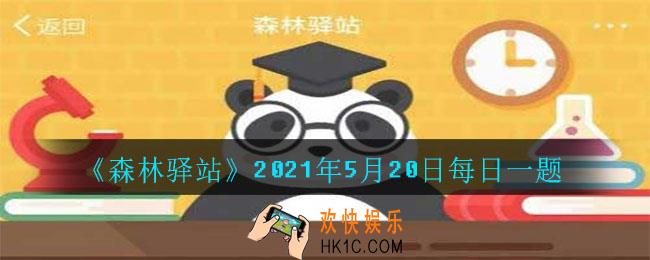 听说穿山甲是有特殊洁癖的傲娇宝宝猜猜哪个习惯是假的_2021年5月20日每日一题