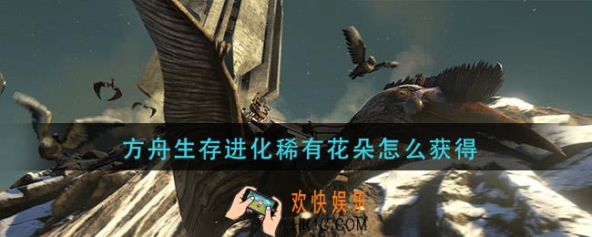 方舟生存进化稀有花朵怎么获得_稀有花朵如何获取