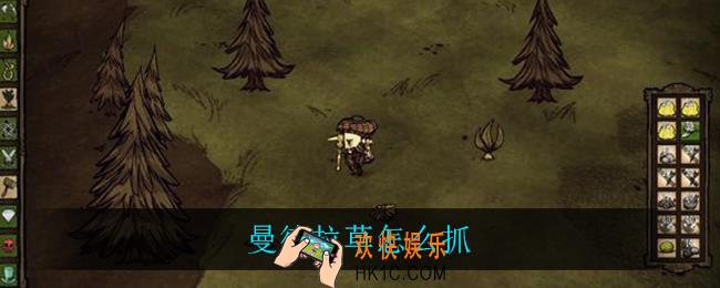 曼德拉草怎么抓_曼德拉草抓捕攻略