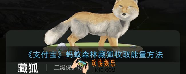蚂蚁森林藏狐怎样收取能量_蚂蚁森林藏狐收取能量方法