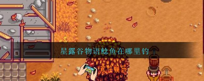 星露谷物语鲶鱼在哪里钓_星露谷物语鲶鱼在哪里获得