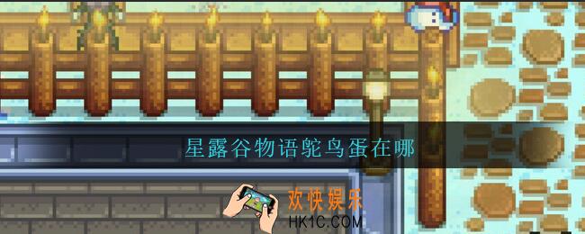 星露谷物语鸵鸟蛋在哪_星露谷物语鸵鸟蛋位置