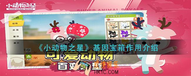 小动物之星基因宝箱有什么用_基因宝箱作用介绍