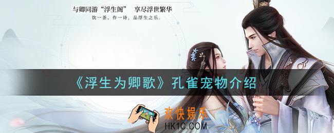 浮生为卿歌孔雀宠物怎么样_孔雀宠物介绍