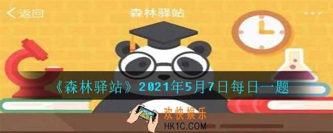 老河沟保护区物种资源丰富，其中被称作中国的鸽子树的珍稀植物是_2021年5月7日每日一题