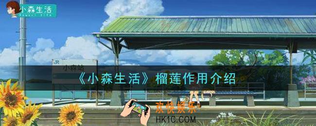小森生活榴莲有什么用_榴莲作用介绍