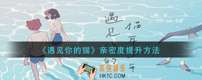 遇见你的猫亲密度怎么提升_亲密度提升方法