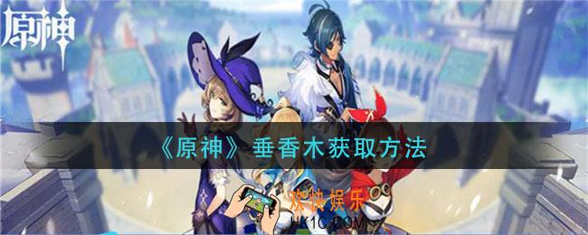 原神获取方法怎么获得_垂香木获取方法
