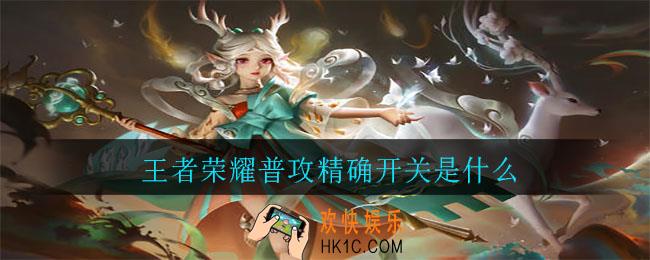 王者荣耀普攻精确开关是什么_普攻精确开关介绍