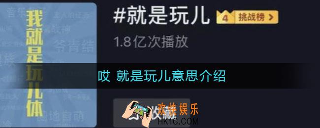 就是玩儿是什么梗_ 哎 就是玩儿意思介绍