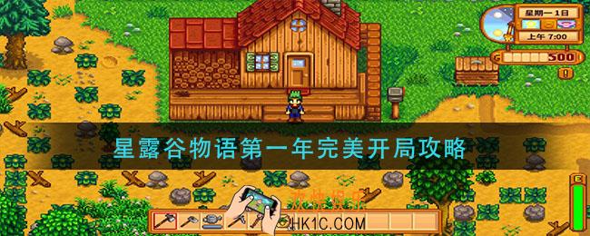 星露谷物语第一年完美开局攻略_星露谷物语完美开局攻略