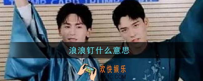 浪浪钉什么意思_浪浪钉意思介绍