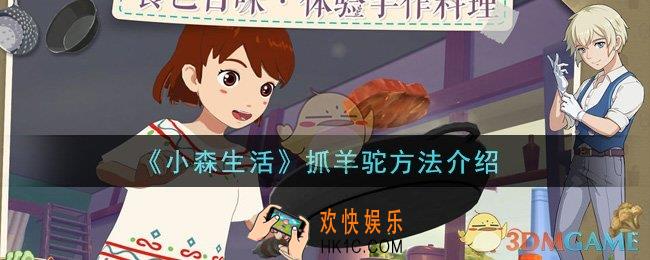 小森生活怎么抓羊驼_抓羊驼方法介绍