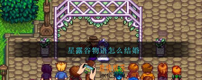 星露谷物语怎么结婚_星露谷物语结婚方法条件