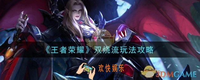 王者荣耀双烧流怎么玩_双烧流玩法攻略