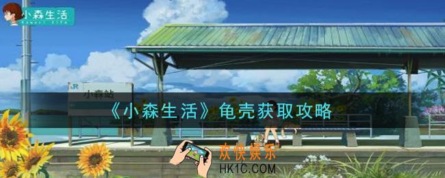 小森生活龟壳怎么获得_龟壳获取攻略