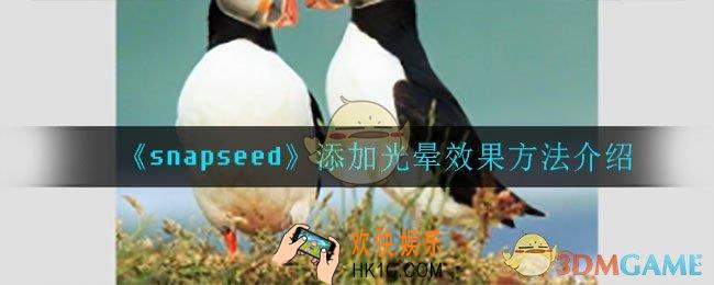 snapseed怎么添加光晕_添加光晕效果方法介绍
