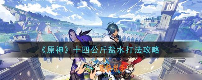 原神十四公斤盐水怎么打_十四公斤盐水打法攻略