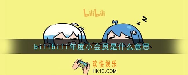 bilibili年度小会员是什么意思_哔哩哔哩年度小会员介绍