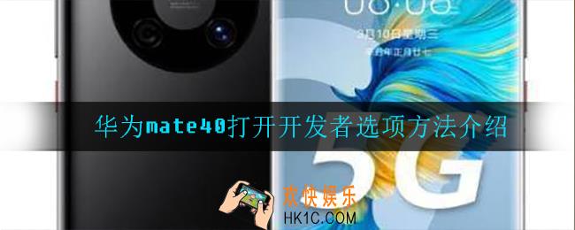 华为mate40怎么打开开发者选项_打开开发者选项方法介绍