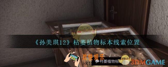 孙美琪疑案12攻略枯萎植物标本在哪里_孙美琪12疑案线索位置