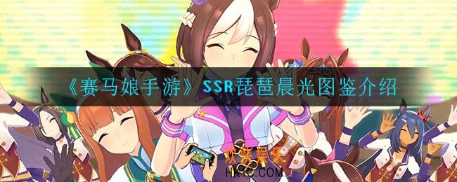 赛马娘手游琵琶晨光怎么样_SSR琵琶晨光图鉴介绍