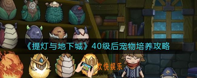 提灯与地下城40级以后宠物怎么选_40级以后宠物怎么培养