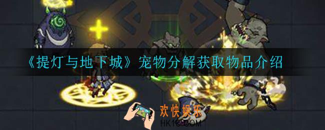 提灯与地下城宠物分解可以获得什么_宠物分解获取物品介绍