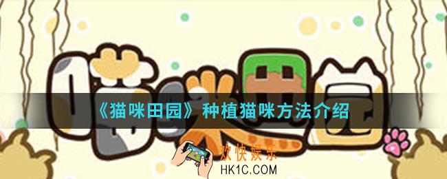 猫咪田园怎么种植猫咪_种植猫咪方法