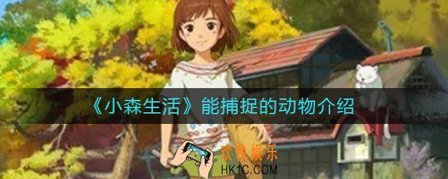 小森生活能捕捉的动物有哪些_小森生活能捕捉的动物介绍