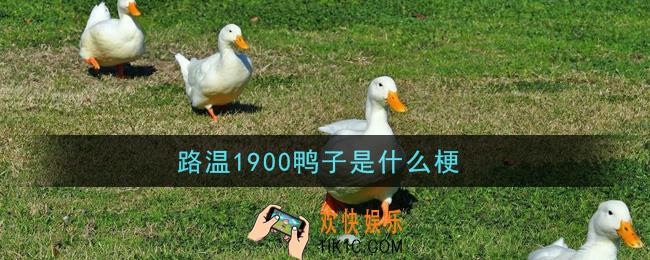 路温1900鸭子是什么梗_路温1900鸭子梗的意思及出处介绍