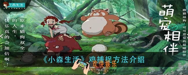 小森生活鸡怎么抓_鸡捕捉方法介绍