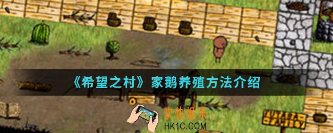 希望之村家鹅怎么养_家鹅养殖方法