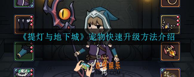 提灯与地下城宠物怎么快速升级_宠物快速升级方法介绍