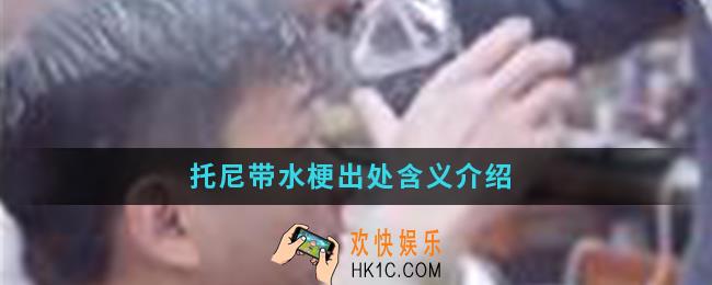 托尼带水是什么梗_托尼带水梗出处含义