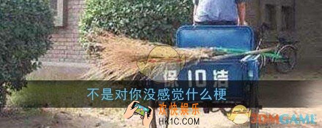 不是对你没感觉什么梗_不是对你没感觉是你没开保时捷类似顺口溜