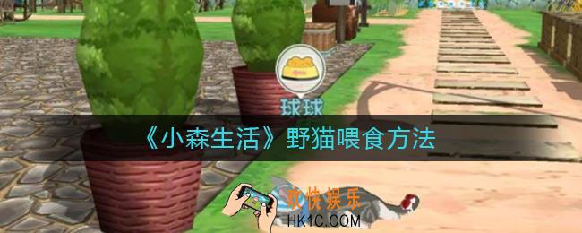 小森生活野猫吃什么_小森生活野猫喂食方法