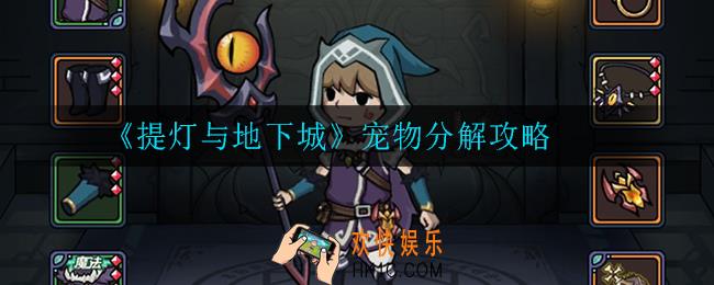 提灯与地下城宠物分解值得吗_宠物分解攻略