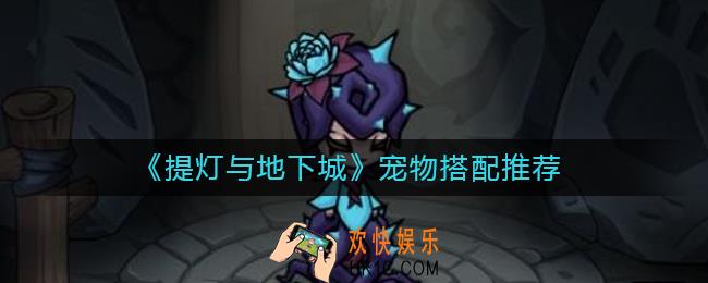 提灯与地下城宠物怎么搭配_提灯与地下城宠物搭配推荐