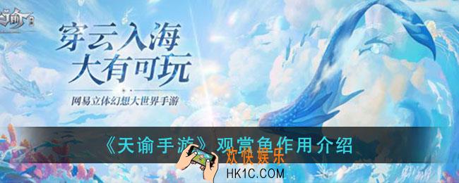 天谕手游观赏鱼有什么用_观赏鱼作用介绍