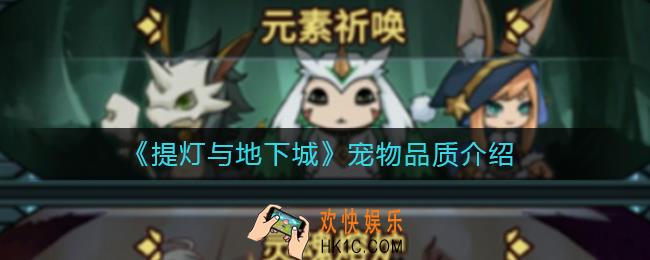 提灯与地下城宠物品质怎么分_提灯与地下城宠物品质介绍