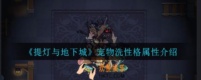 提灯与地下城宠物性格怎么洗_宠物洗性格属性介绍