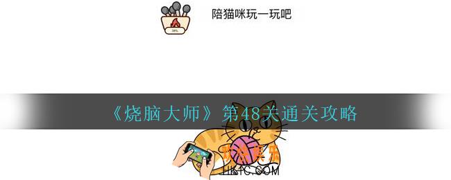 烧脑大师第48关陪猫咪玩一玩吧怎么过_第48关通关攻略