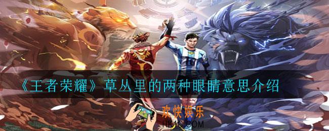 王者荣耀草丛里的两种眼睛是什么意思_草丛里的两种眼睛意思介绍
